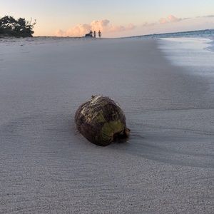 Meet your Posher, Celina